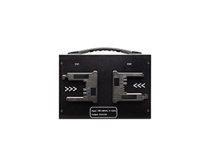 FX LION 2-CH B-Mount Charge_2